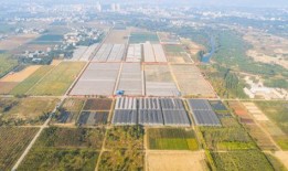 河源市源城区最新爆料,揭秘神秘事件背后的真相