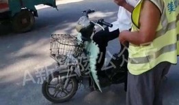 平安大爷爆料最新,最新爆料事件全解析