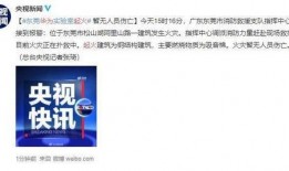 东莞视频爆料最新消息,揭秘事件背后真相