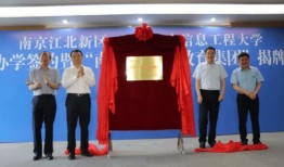 海诺新皮肤官方爆料最新消息,全新视觉盛宴即将来袭！