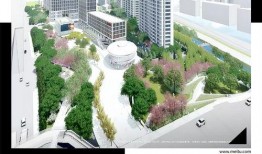 杭州拱墅区最新爆料群,聚焦民生热点，共话区域发展