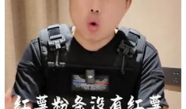 雨姐最新录音爆料,娱乐圈幕后真相大曝光