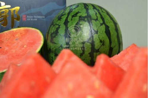 最新西瓜爆料,揭秘娱乐圈最新热点事件！